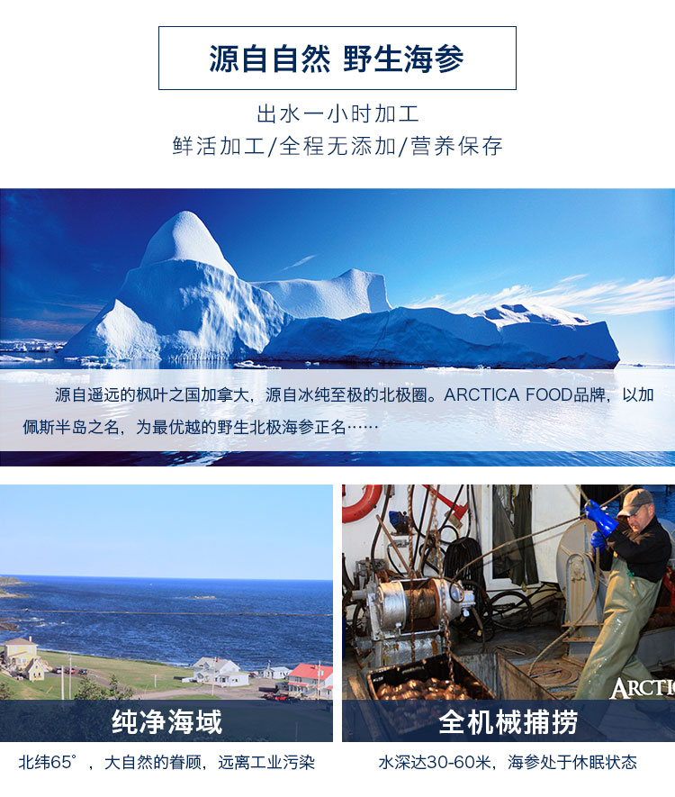 北极海参_10.jpg